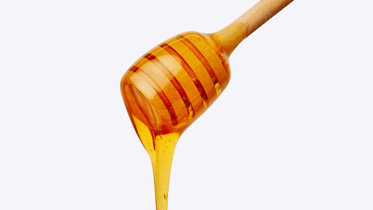 Honey: Not Exactly Bee Vomit. Or Is It?