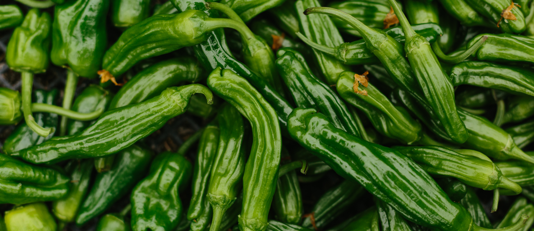 Only Some Shishito Peppers Are Spicy—But Why?